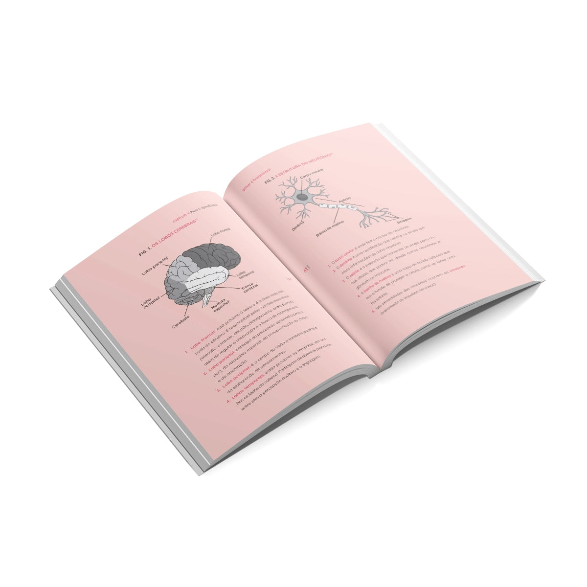 Livro Brincar é Fundamental loja.neurosaber.com.br