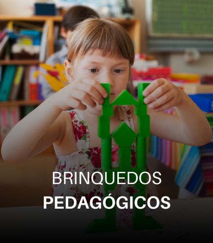 Brinquedos Pedagógicos NeuroSaber